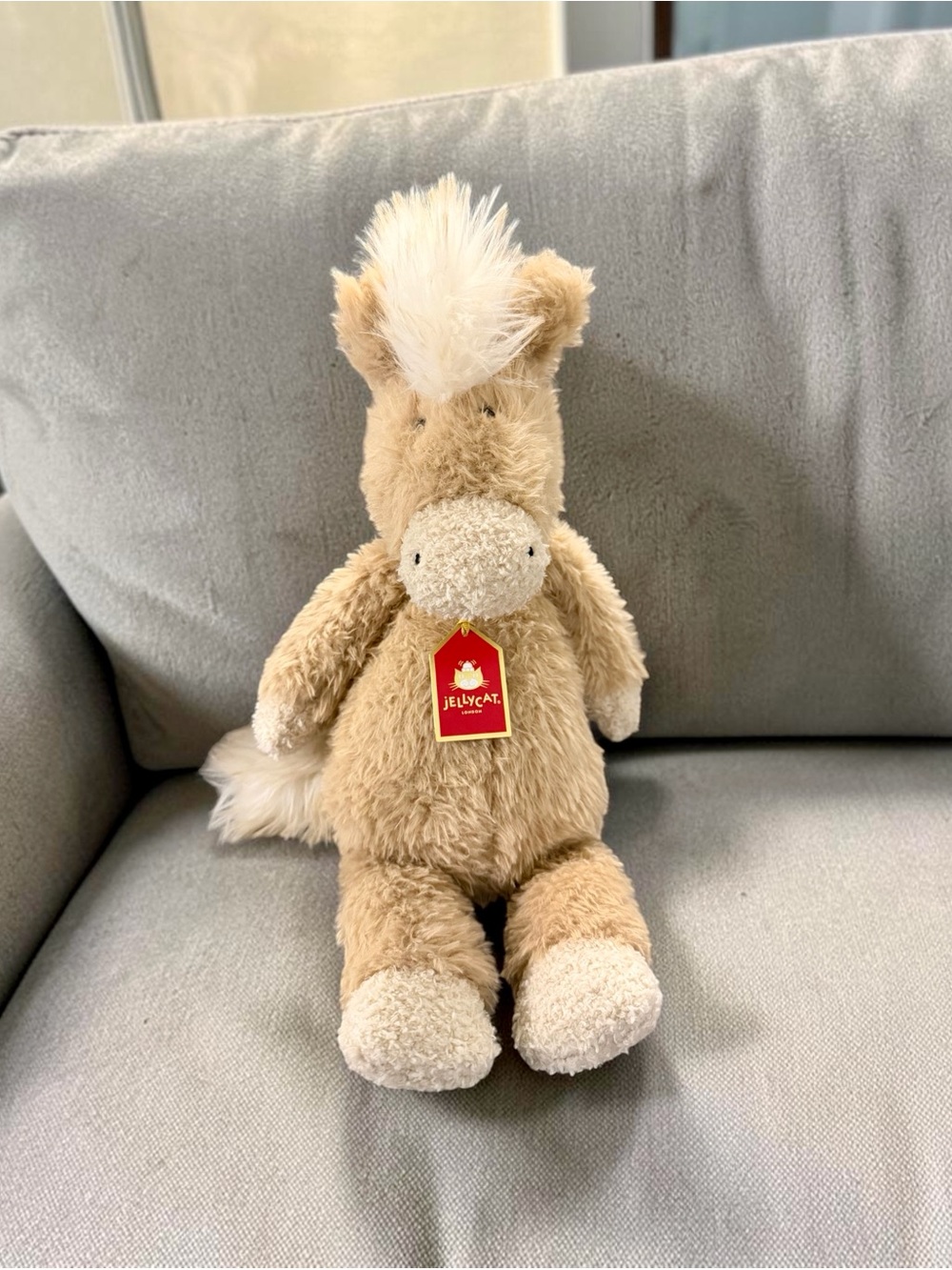 🐴𝐀𝐮𝐭𝐡𝐞𝐧𝐭𝐢𝐜 𝐉𝐞𝐥𝐥𝐲𝐜𝐚𝐭 𝐂𝐚𝐧𝐭𝐞𝐫𝐧𝐞𝐢𝐠𝐡 𝐏𝐨𝐧𝐲🐴